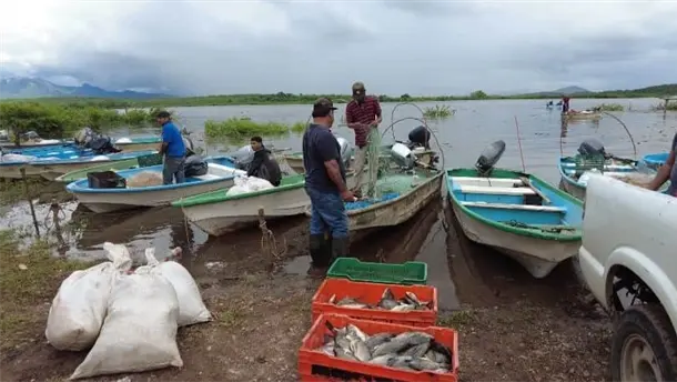 Nota Relacionada de Agro