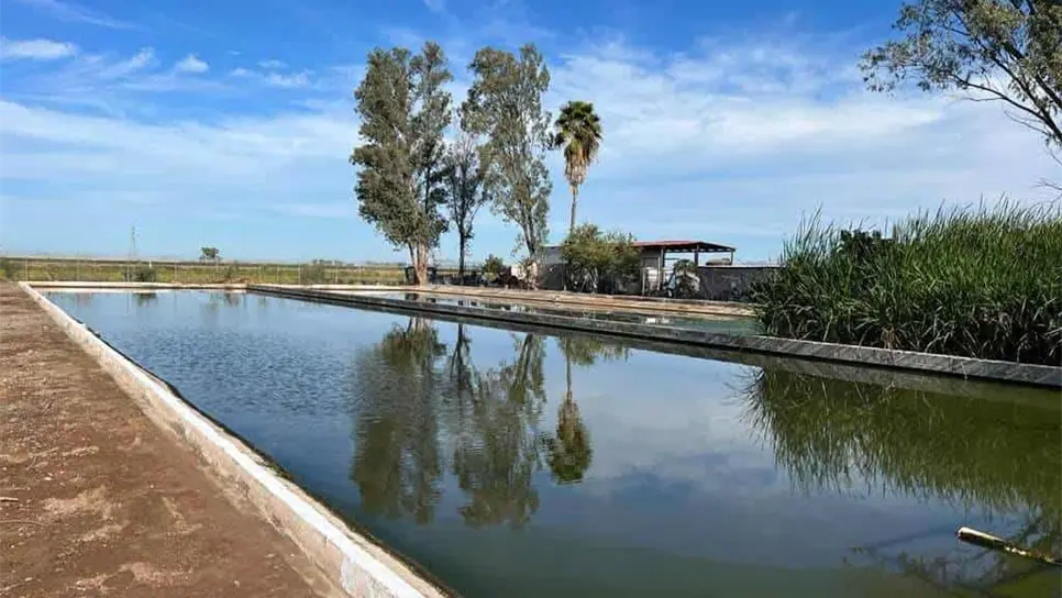 Planta de Aguas residuales.