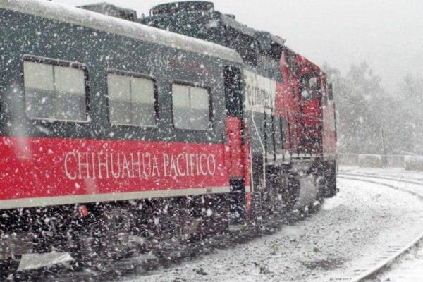 Tren Chepe 2025: ¿Qué necesitas para viajar y disfrutar de la Sierra Tarahumara?