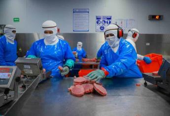 Sinaloa, segundo lugar nacional en crecimiento laboral