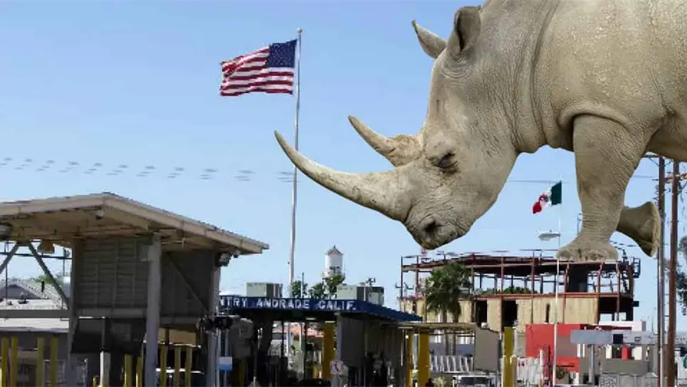 FOTO: Objetos extraños incautados por la Aduana de Estados Unidos.