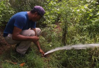 La policía y PC van contra «derrochadores» de agua en Ahome