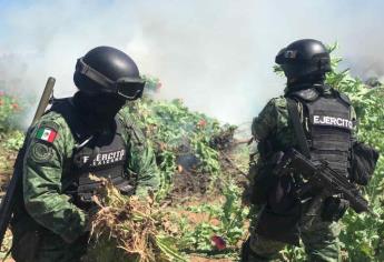 Ejército detuvo a 6 delincuentes y aseguró 91 narcolaboratorios en septiembre en Sinaloa