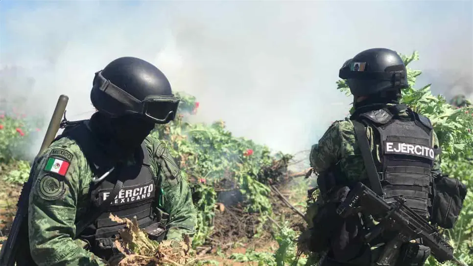 FOTO: Ejército Mexicano.