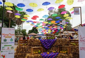 La Villa de Ahome celebra con éxito el primer «Mangotour»