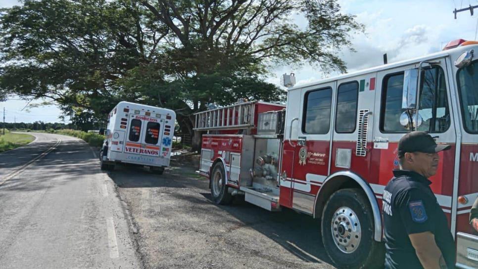 Abejas atacan y dejan 6 personas lesionadas en carretera Villa Unión-Walamo