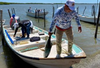 Invitan al Torneo de Pesca Deportiva «Topolobampo Ahome-FISH 2023»