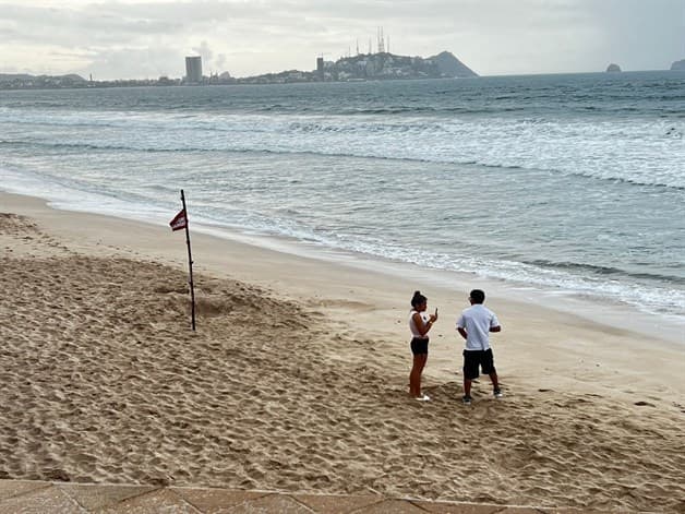 Imagen Placeholder Imagen Placeholder