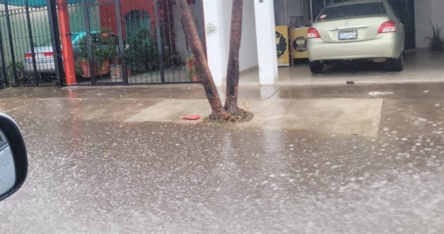 Imagen Placeholder Imagen Placeholder