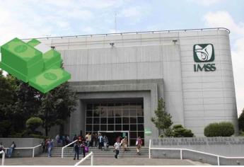 Pensión IMSS: ¿Cuáles son los requisitos para obtenerla antes de los 25 años?