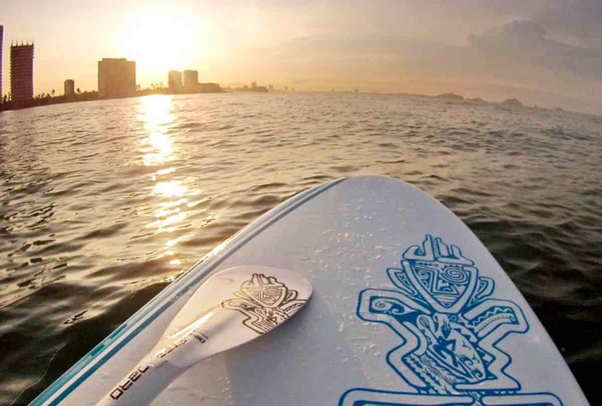 FOTO: Cortesía/gomazatlan.