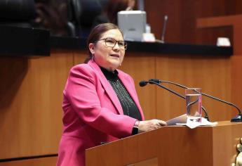 Imelda Castro analiza si se queda en el Senado o pide licencia para irse a campaña