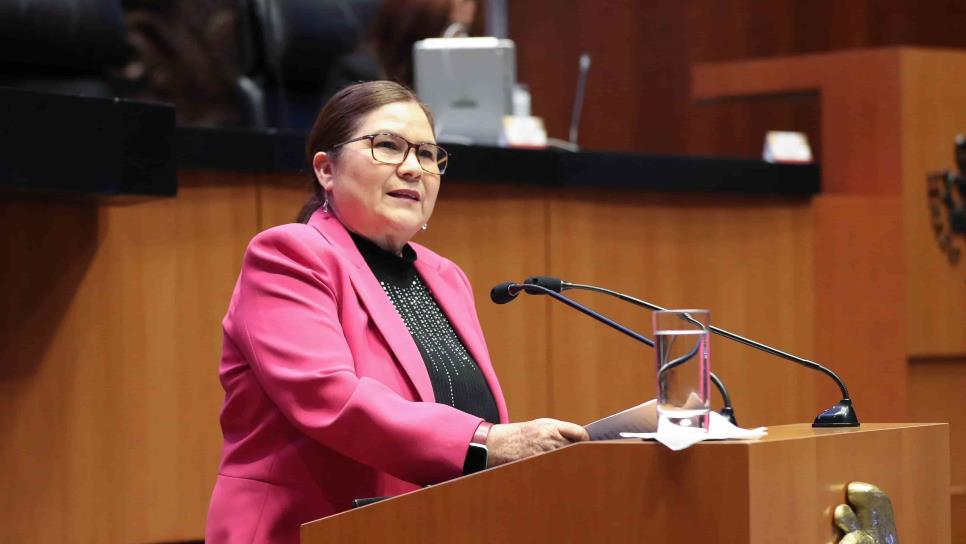 Imelda Castro analiza si se queda en el Senado o pide licencia para irse a campaña