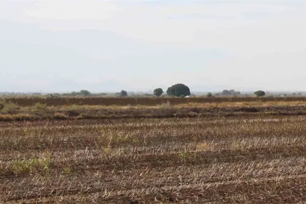«Crisis por sequía en Sinaloa, todos la ven menos el Gobierno»: CAADES «Crisis por sequía en Sinaloa, todos la ven menos el Gobierno»: CAADES