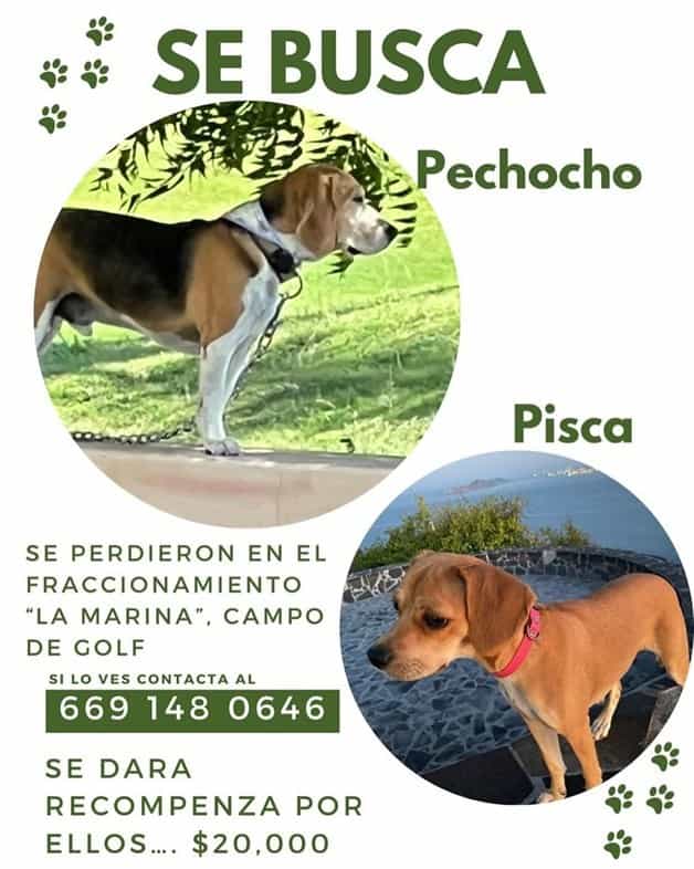 Imagen Placeholder