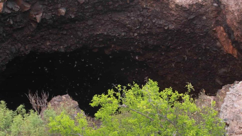 Cueva de los murciélagos de El Maviri, un gran atractivo natural cerca de Los Mochis