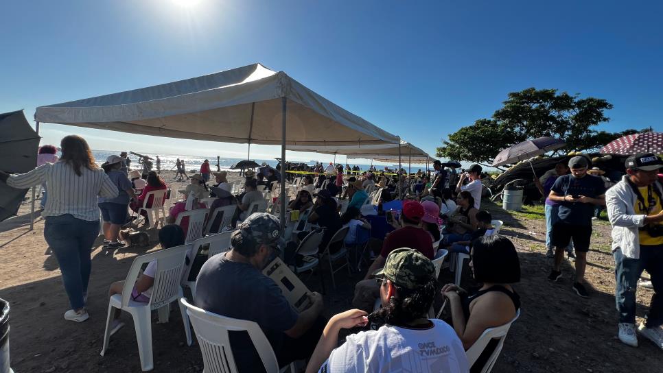 Eclipse solar anular deja maravillados a sinaloenses 