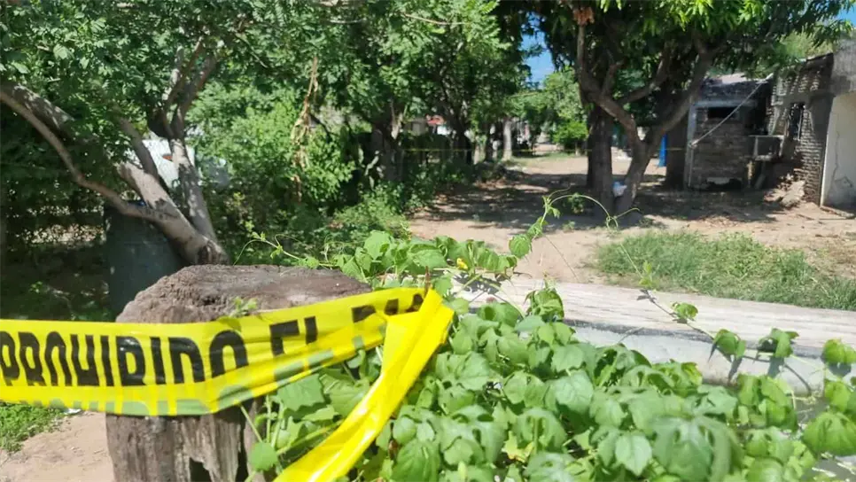 Por causas desconocidas, Don Fili, cayó a la pileta de agua.