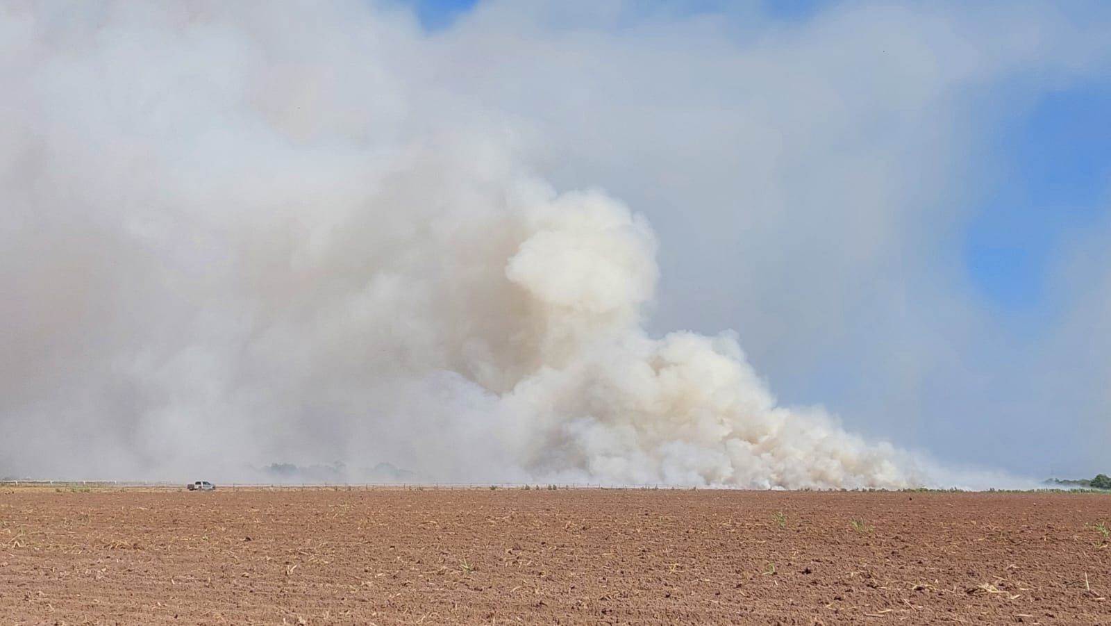 FOTO: Ernesto Torres.