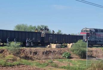 Decomisó en tren de Culiacán: 150 kilos de «hierba verde»
