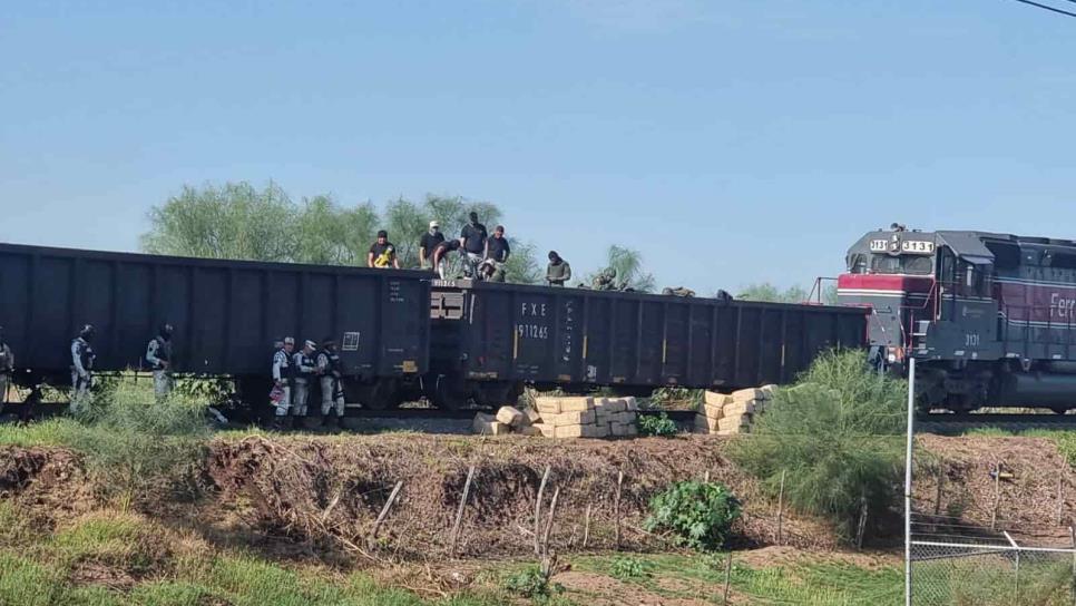 Decomisó en tren de Culiacán: 150 kilos de «hierba verde»