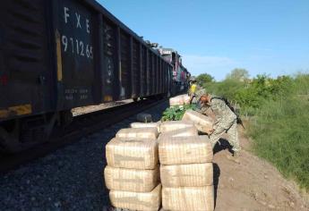 Militares aseguran más de una tonelada de mariguana en el tren de Estación Rosales