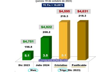 Sube de precio el maíz