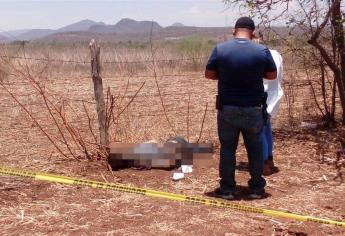 Localizan cadáver en avanzado estado de descomposición en San Ignacio