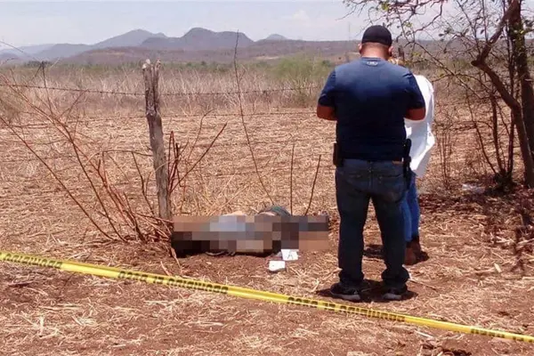 Localizan cadáver en avanzado estado de descomposición en San Ignacio Localizan cadáver en avanzado estado de descomposición en San Ignacio