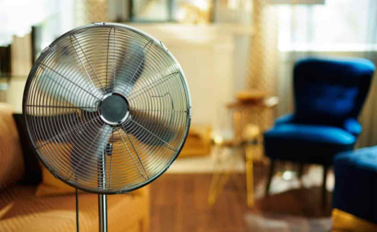 FOTO: Cortesía/Pexels.