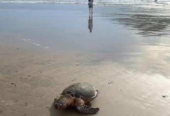 Policía Acuática rescata a tres turistas extranjeros en playas de Mazatlán