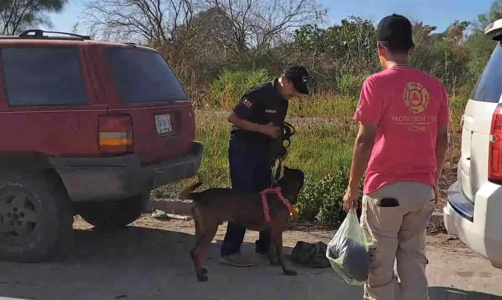 El operativo de búsqueda del acusado se mantiene en Sinaloa y Sonora. FOTO: Ernesto Torres.