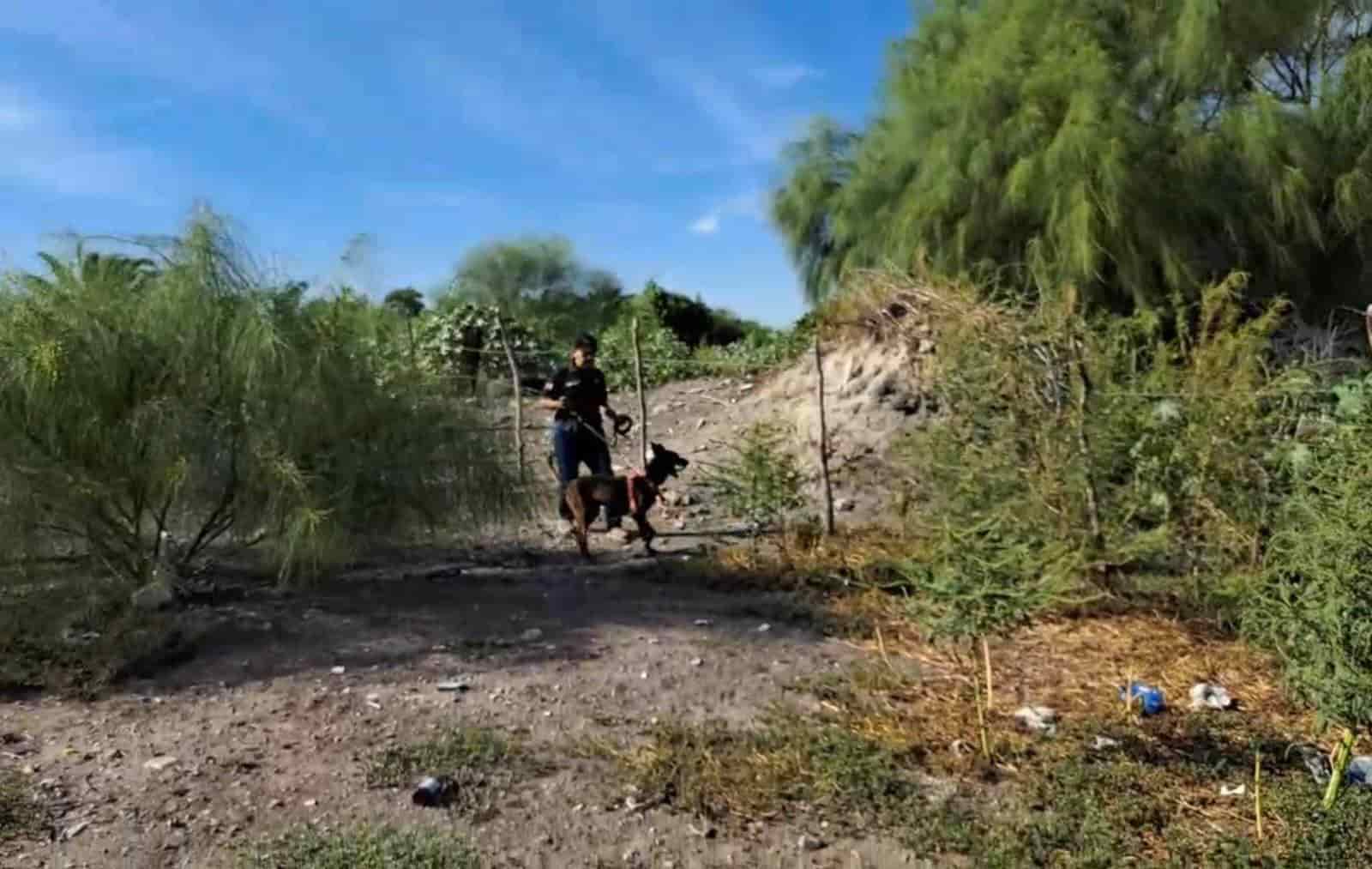 La búsqueda se lleva a cabo por todos lados; incluso, con ayuda de perros. FOTO: Luz Noticias