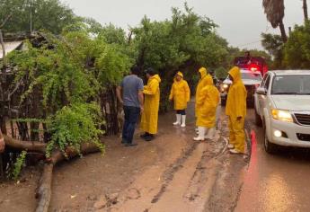 «Norma» deja 420 damnificados en las sindicaturas de Culiacán: Gámez Mendívil