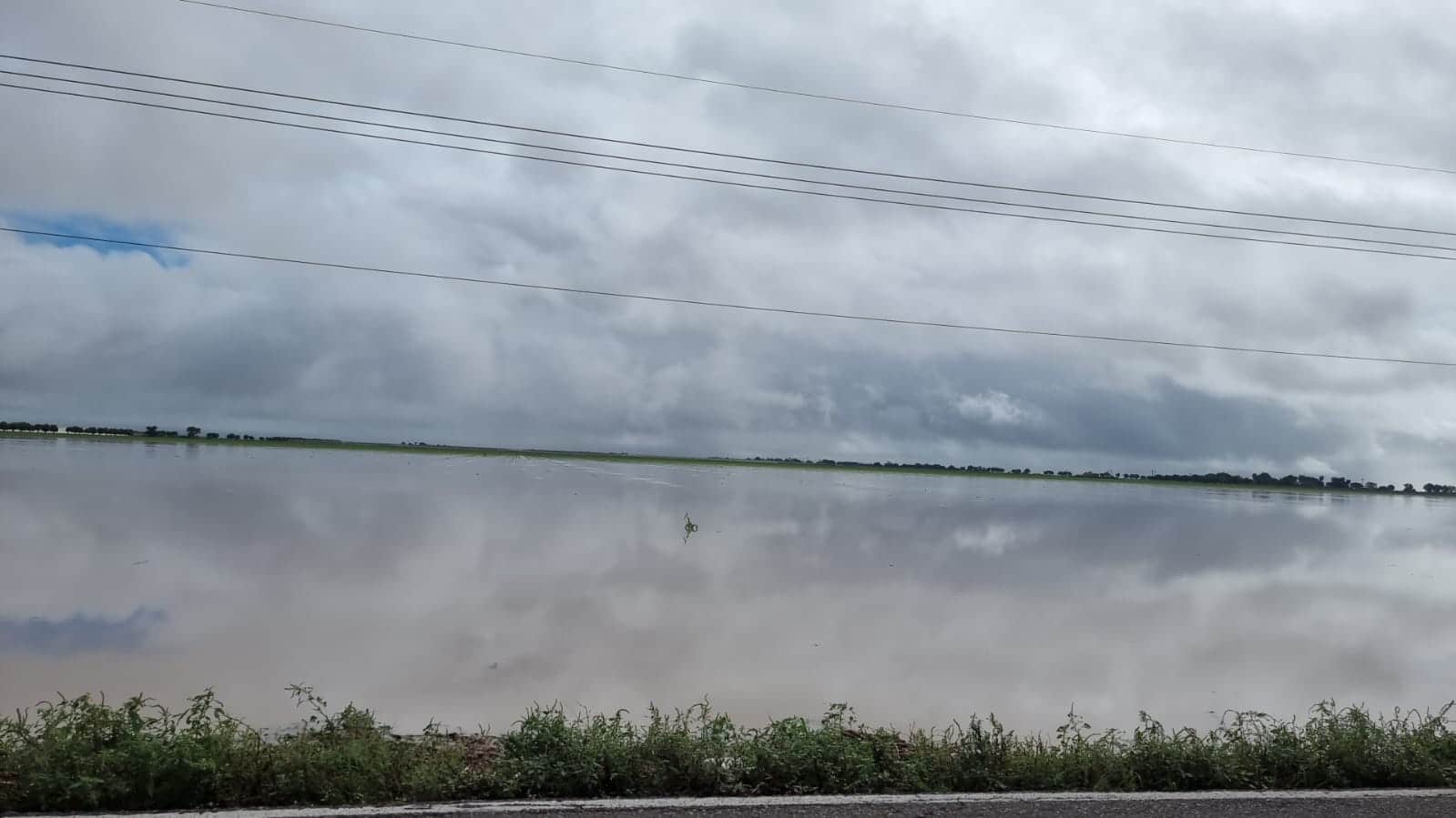 FOTO: Luz Noticias.