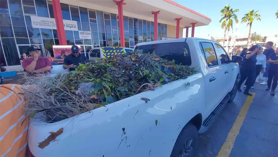 Las autoridades ya pusieron manos a la obra. FOTO: Cortesía