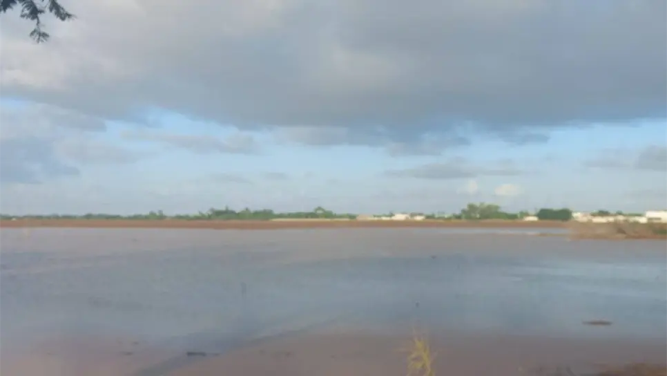 Las hortalizas se vieron seriamente dañadas. FOTO: Luz Noticias