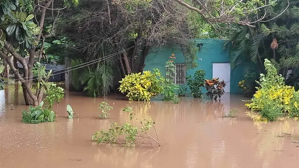 FOTO: Archivo/LuzNoticias.