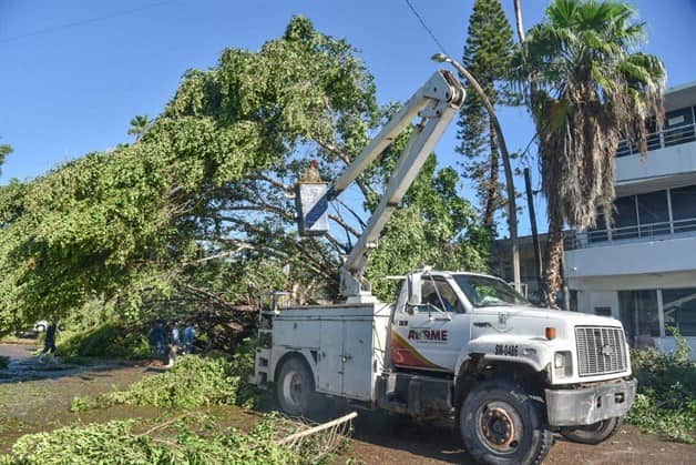 Imagen Placeholder Imagen Placeholder