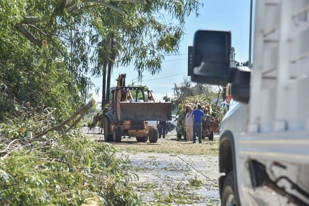 Imagen Placeholder Imagen Placeholder