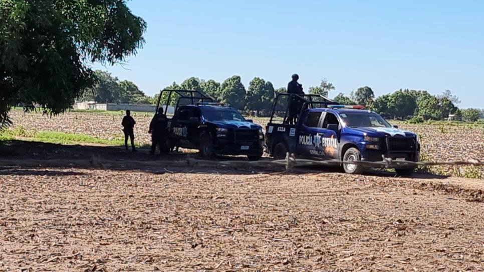 Un herido en enfrentamiento a balazos entre gatilleros y policías en Navolato