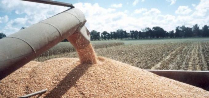 Productores exigen pago por maíz tras 5 meses de que entregaron a SEGALMEX. Productores exigen pago por maíz tras 5 meses de que entregaron a SEGALMEX.