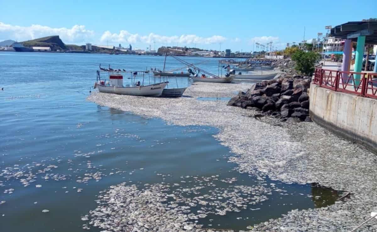 FOTO: Esthela García.