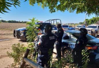 Reportan balaceras en Bachoco y Cinco Hermanos en el municipio de Navolato