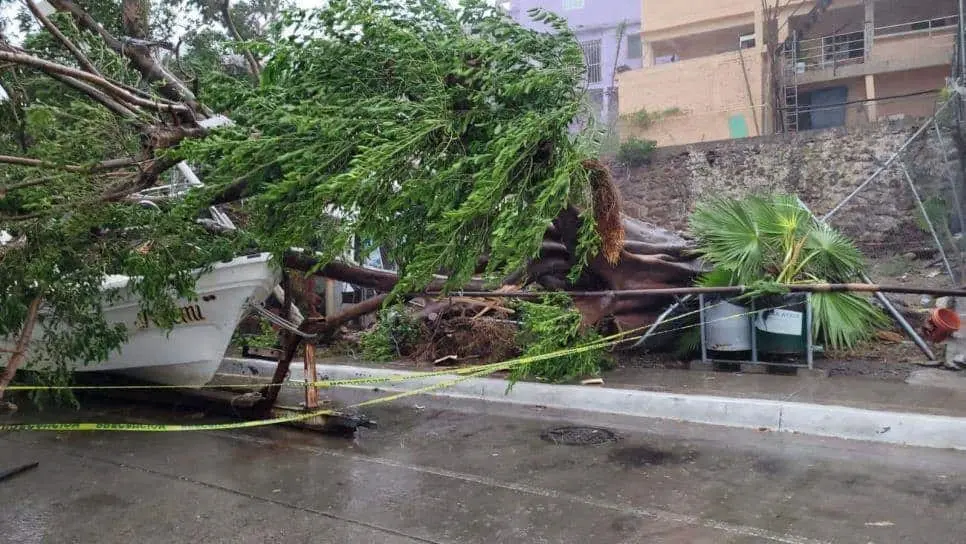 El municipio ya casi supera por completo las consecuencias de la tormenta. FOTO: Luz Noticias