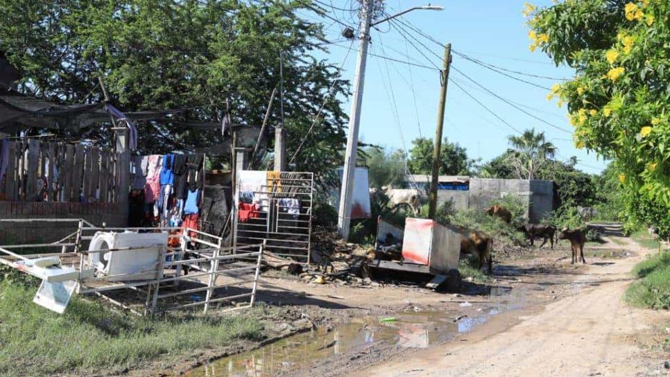 Más de 4 mil familias afectadas por «Norma» han recibido el apoyo del Gobierno de Sinaloa