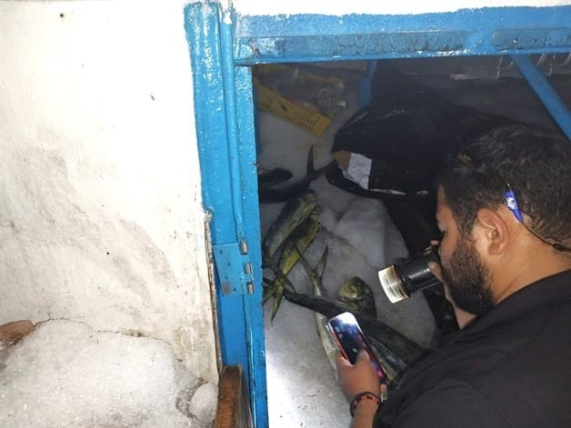 Imagen Placeholder Imagen Placeholder