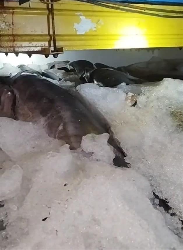 Imagen Placeholder Imagen Placeholder