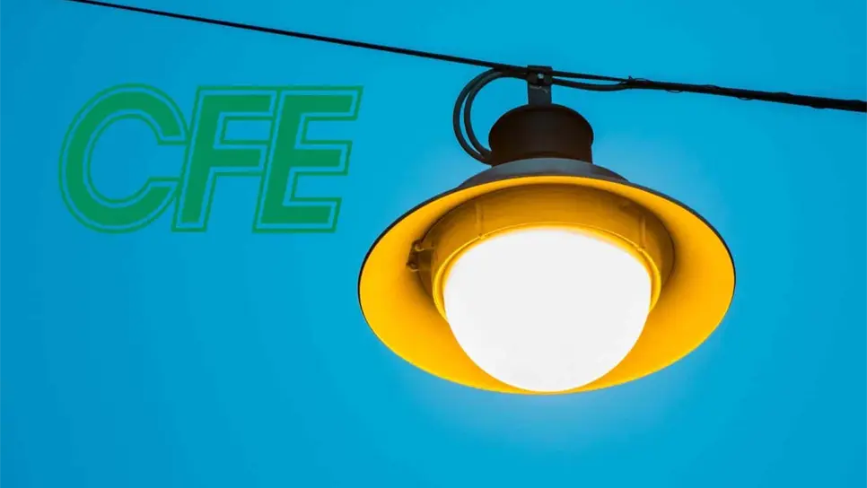 Foto: Cortesía/Pexels.