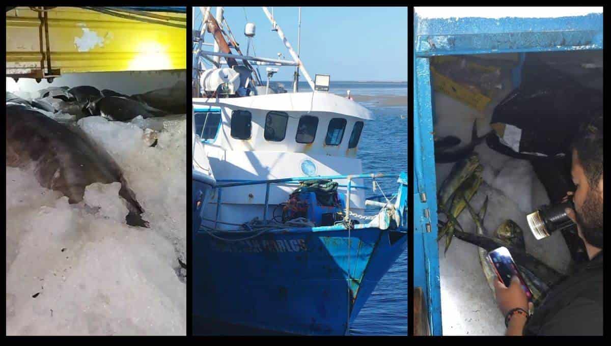 El barco retenido. FOTO: FONMAR.